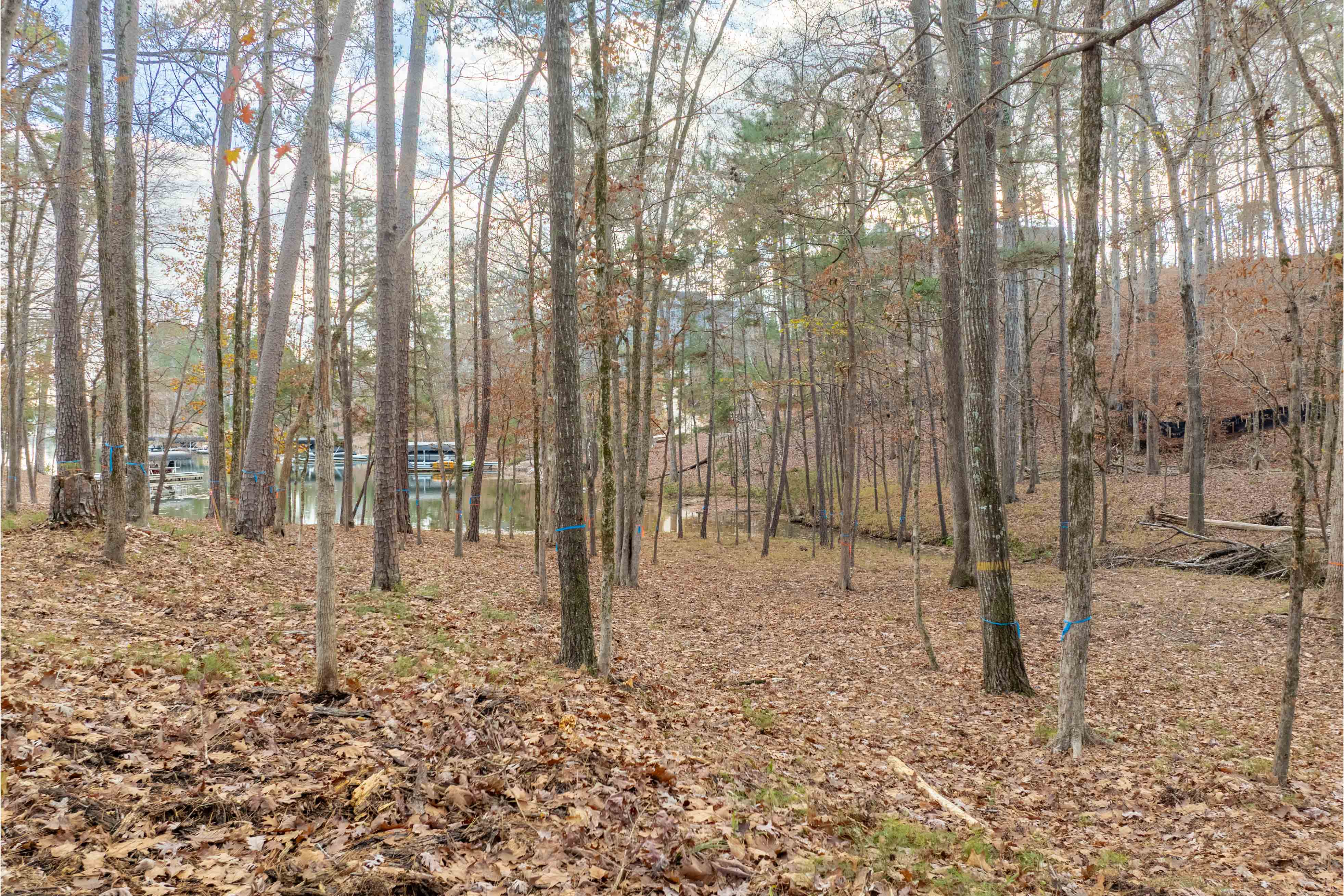 1217 Fox Squirrel Drive image 9